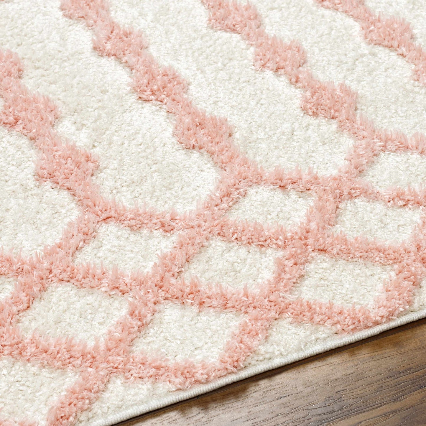 Darva Plush Area Rug