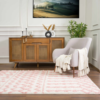 Darva Plush Area Rug