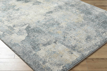 Adsila Teal Blue Rug